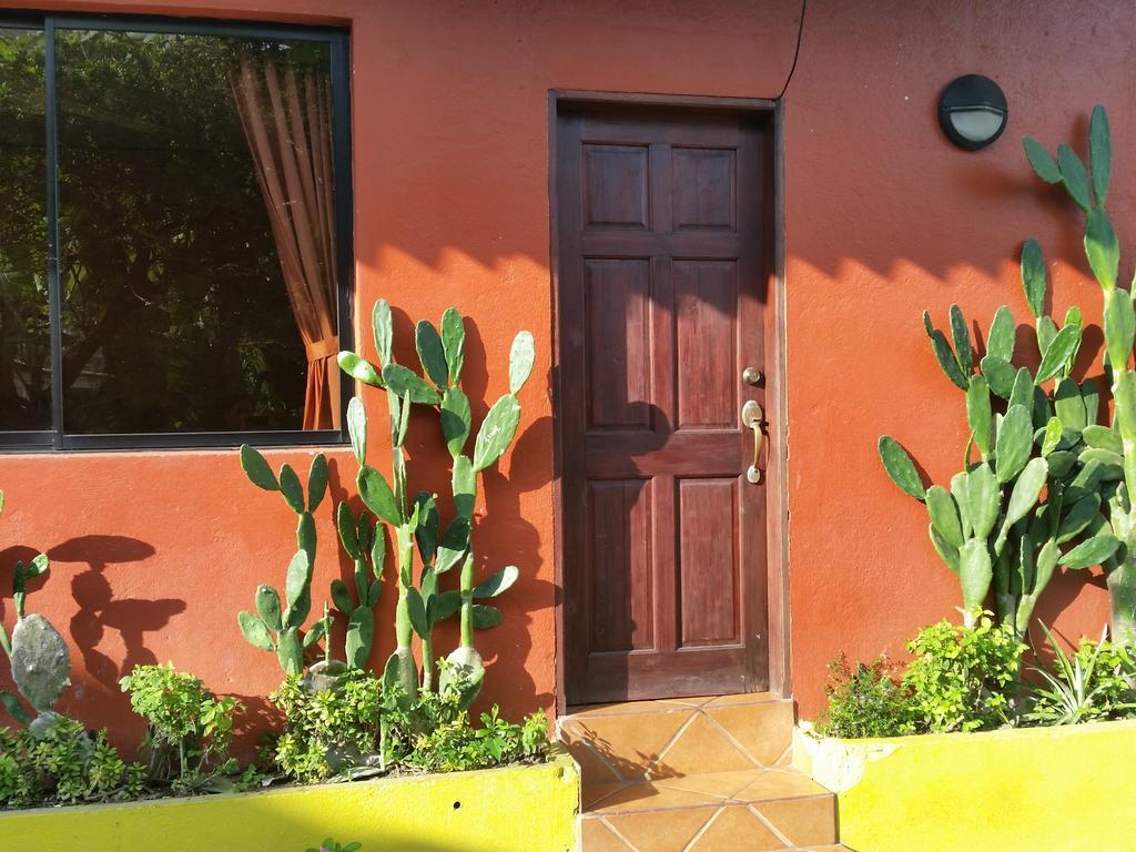 Hotel Cabinas Mar Y Cielo มอนเตซูมา ห้อง รูปภาพ